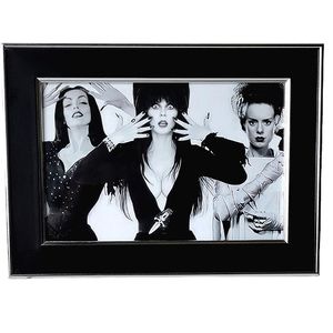 Bride of Frankenstein Vampira Elvira horror Queens monster universal